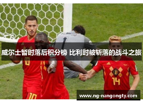 威尔士暂时落后积分榜 比利时被斩落的战斗之旅