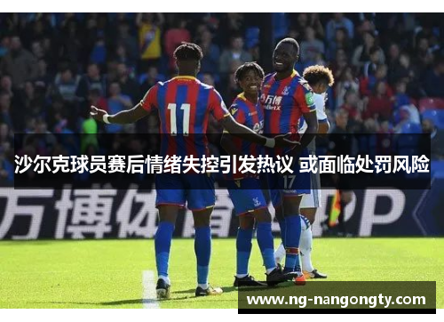 沙尔克球员赛后情绪失控引发热议 或面临处罚风险