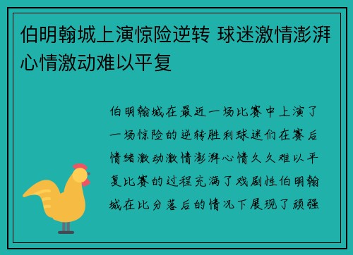 伯明翰城上演惊险逆转 球迷激情澎湃心情激动难以平复