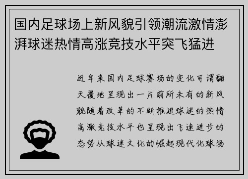 国内足球场上新风貌引领潮流激情澎湃球迷热情高涨竞技水平突飞猛进